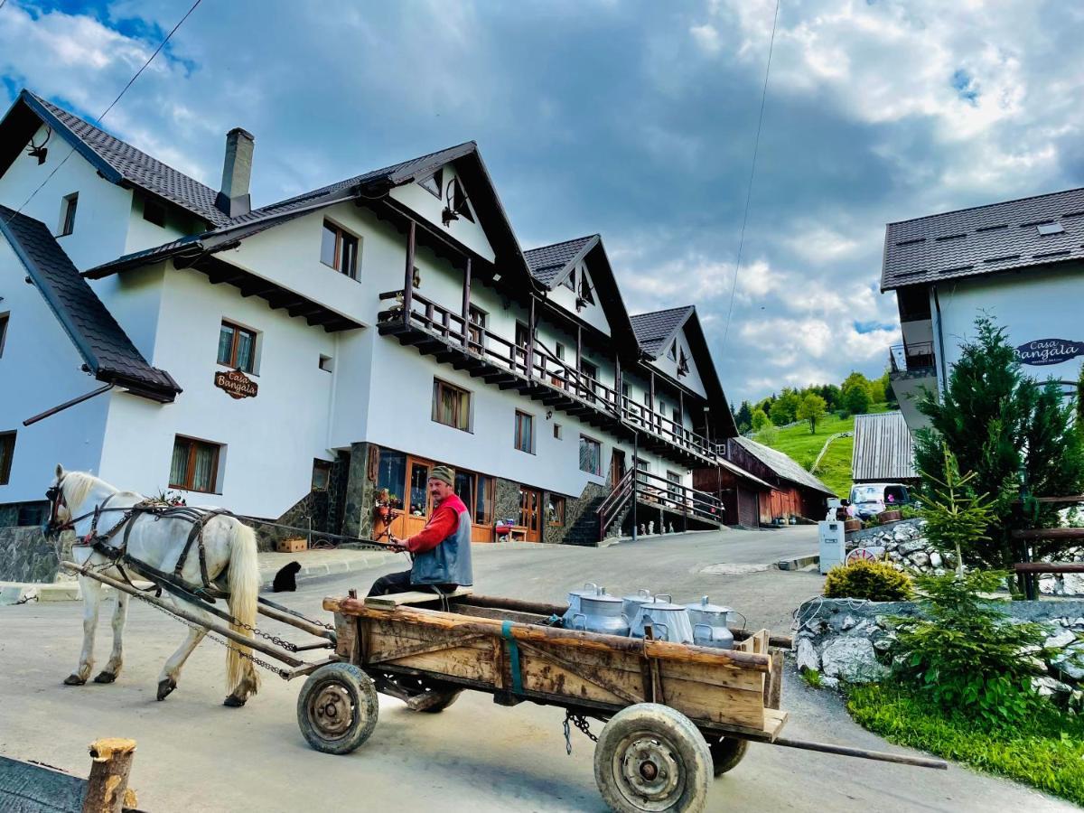 Casa Bangala Din Fundata Brașov Exterior foto